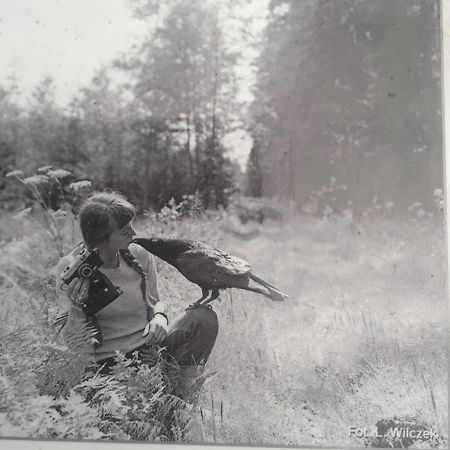 In Nature Białowieża Esterno foto