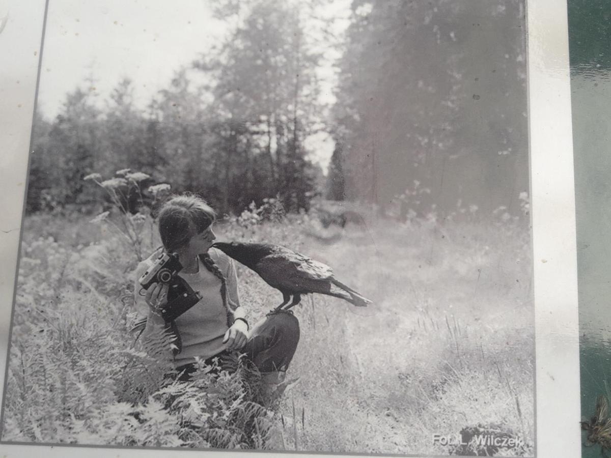 In Nature Białowieża Esterno foto