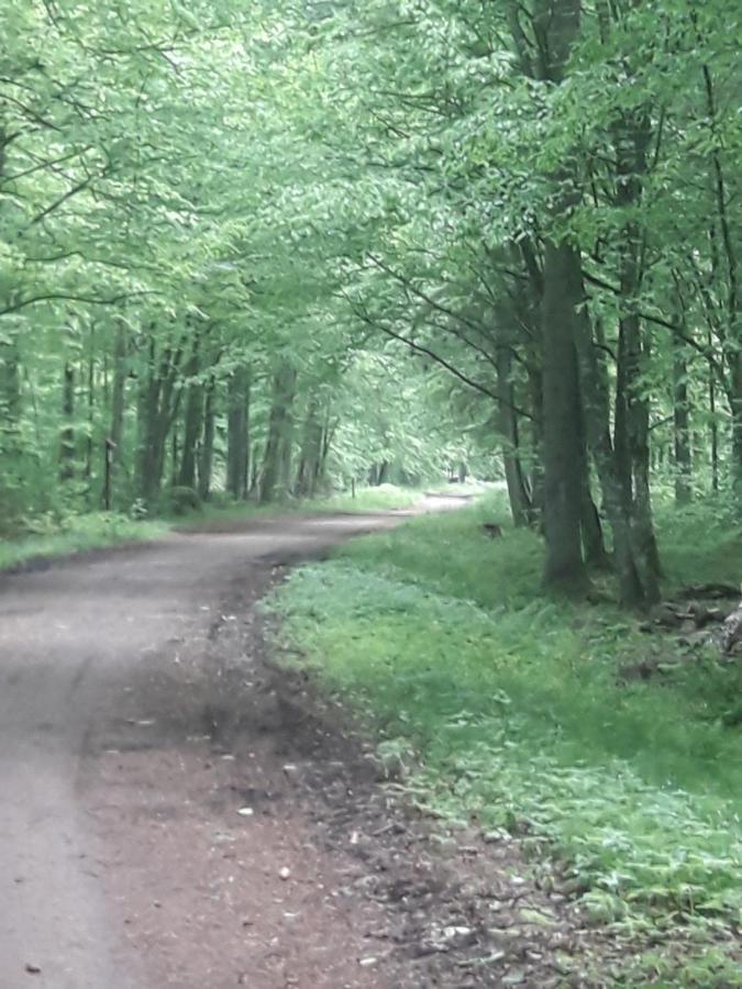 In Nature Białowieża Esterno foto