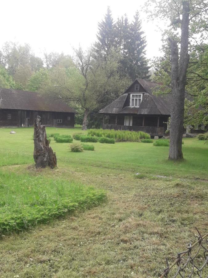 In Nature Białowieża Esterno foto