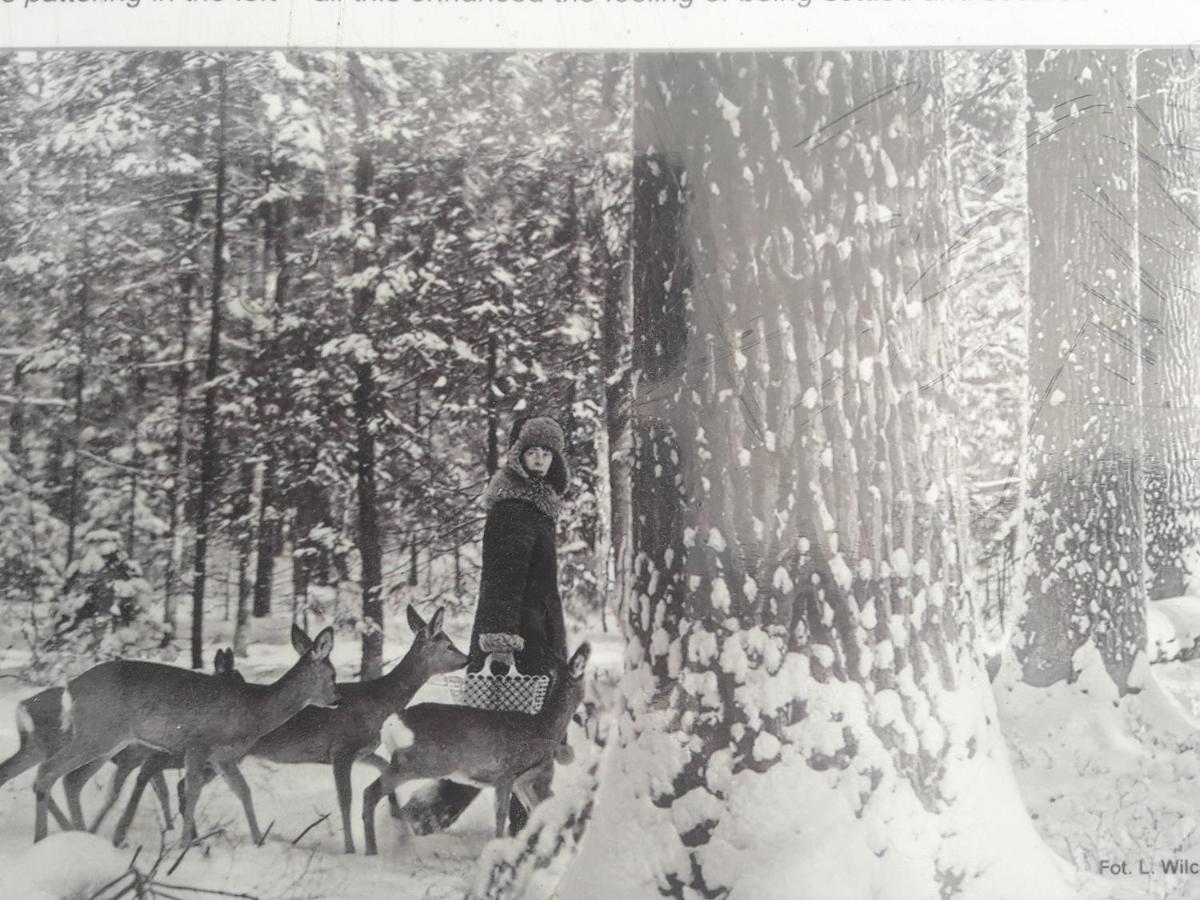 In Nature Białowieża Esterno foto